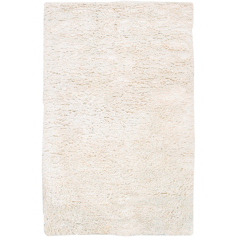 Surya Ashton Shag Rug