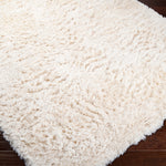 Surya Ashton Shag Rug