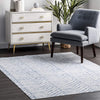 Lou Washable Area Rug