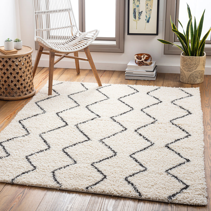 Livabliss Beni Shag Adrian Machine Woven Rug