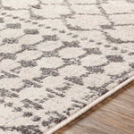 Livabliss Chester Machine Woven Rug