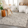 Surya Cozy Hayes Machine Woven Rug