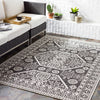 Surya Eagean Haire Indoor/Outdoor Rug