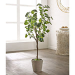 Faux Polyscias Fruticosa Potted Tree