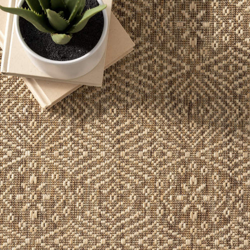 Meridian Indoor/Outdoor Rug