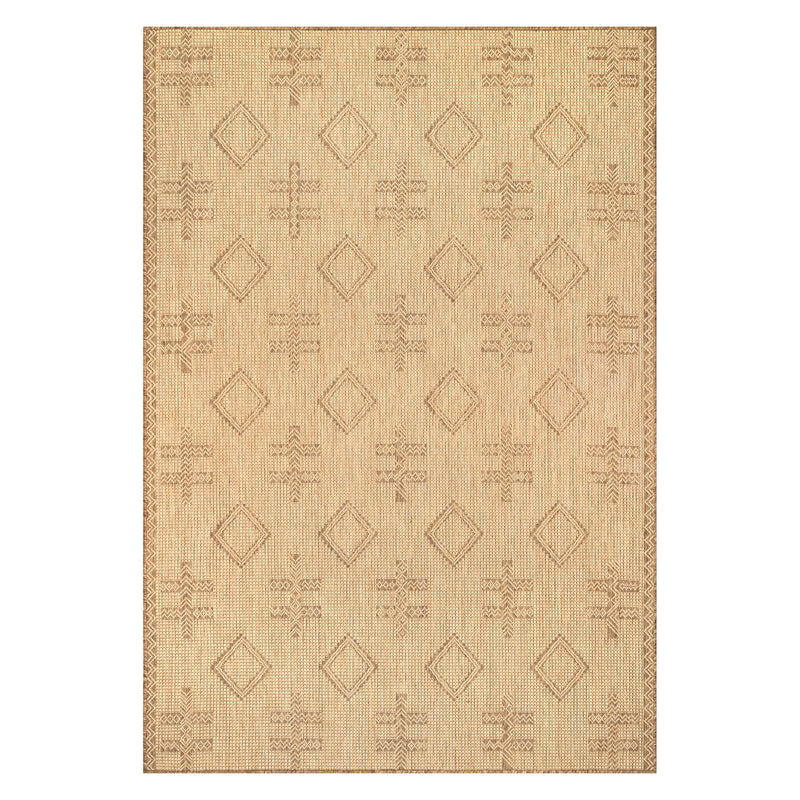 Danford Indoor/Outdoor Rug