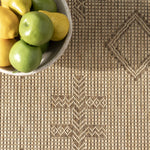 Danford Indoor/Outdoor Rug