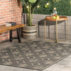 Danford Indoor/Outdoor Rug