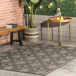 Danford Indoor/Outdoor Rug