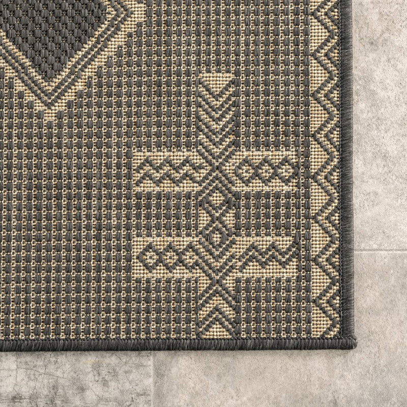 Danford Indoor/Outdoor Rug