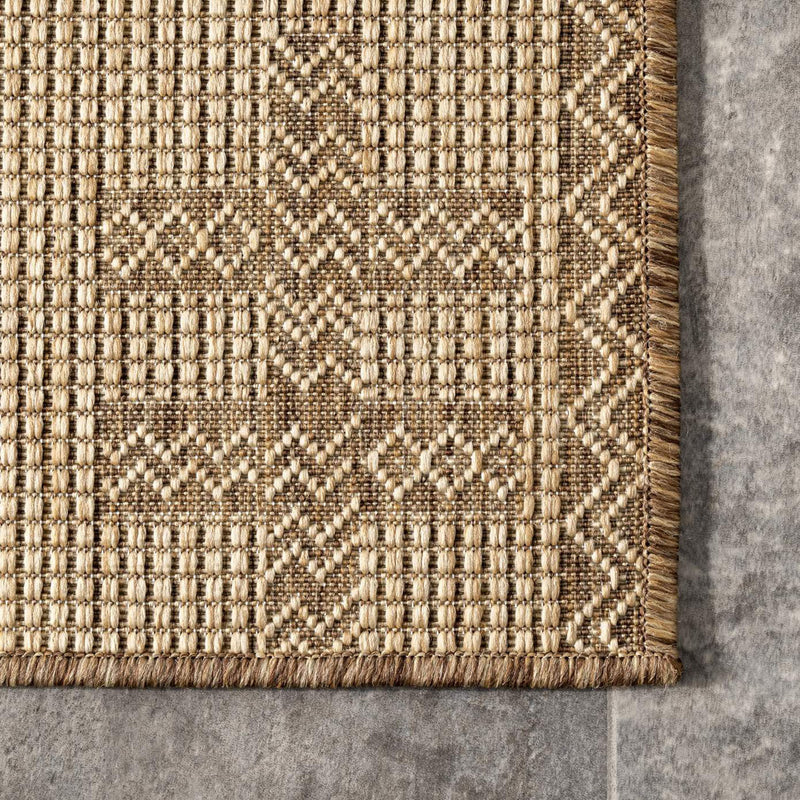 Danford Indoor/Outdoor Rug