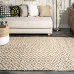 Miyan Braided Rug