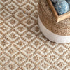 Miyan Braided Rug