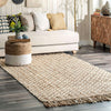 Miyan Braided Rug