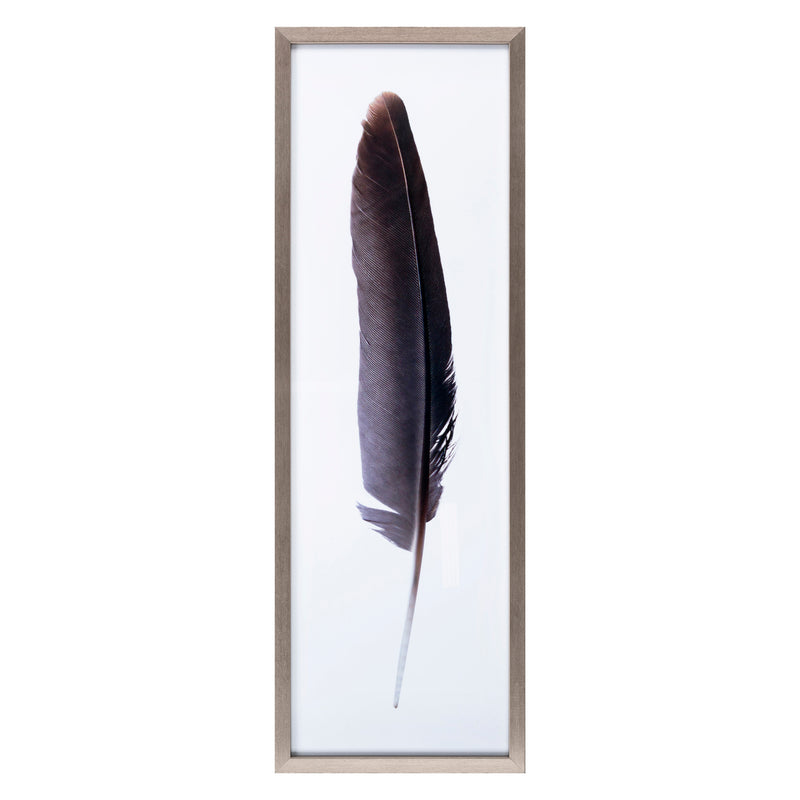 Drury Feather I Framed Wall Art