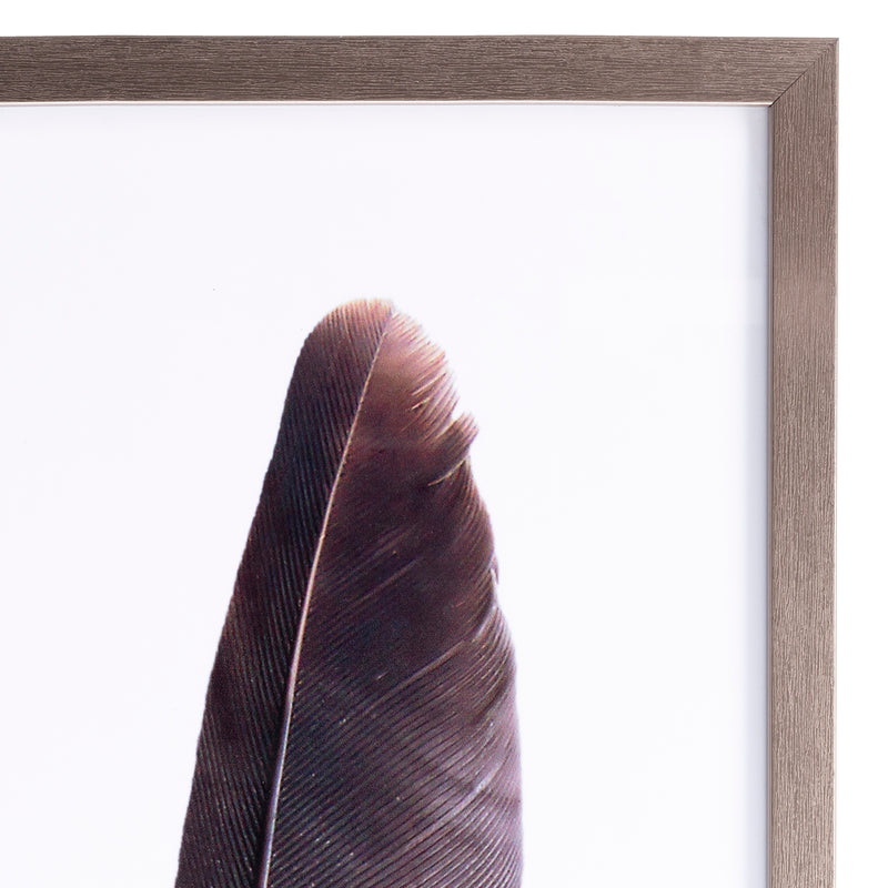 Drury Feather I Framed Wall Art