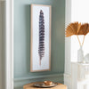 Drury Feather II Framed Wall Art