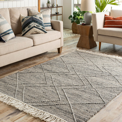 Livabliss Lucia Harbor Hand Woven Rug