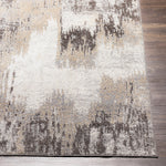 Livabliss Lavadora Dexter Washable Rug