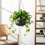 Deepdale Indoor/Outdoor Planter