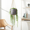 Benson Hanging Planter