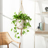 Paddock Indoor/Outdoor Planter