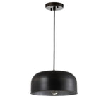 Moran 1-Light Pendant