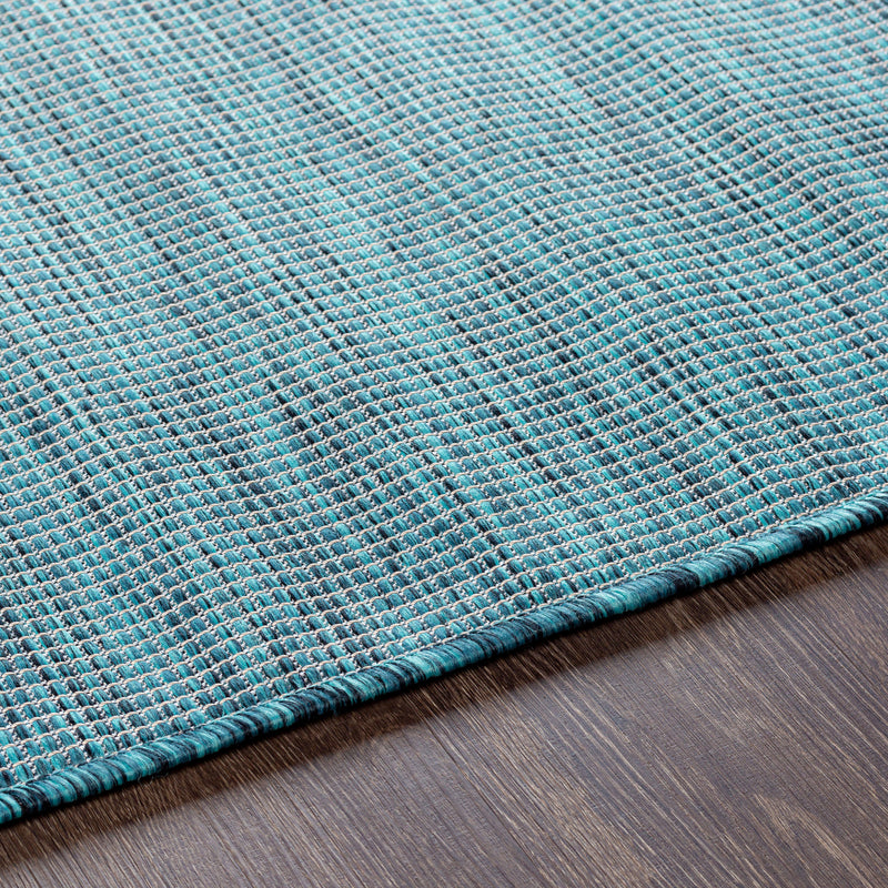 Surya Pasadena Liam Indoor/Outdoor Rug