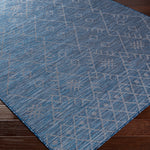 Surya Pasadena Coleman Indoor/Outdoor Rug