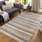 Surya Petra Stripe Hand Woven Rug