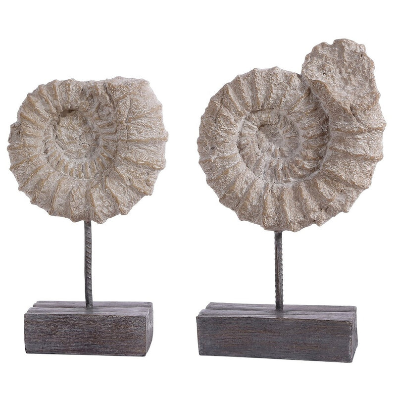 Latimer Ammonite Shell Table Decor Set of 2