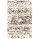 Surya Rhapsody Chaos Shag Rug