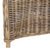 Delacruz Wicker Arm Chair