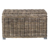 Heller Wicker Trunk