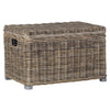 Heller Wicker Trunk