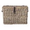 Putnam Wicker Trunk