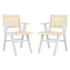 Hollis French Cane Arm Chair Set of 2