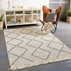 Livabliss Uttar James Hand Woven Rug