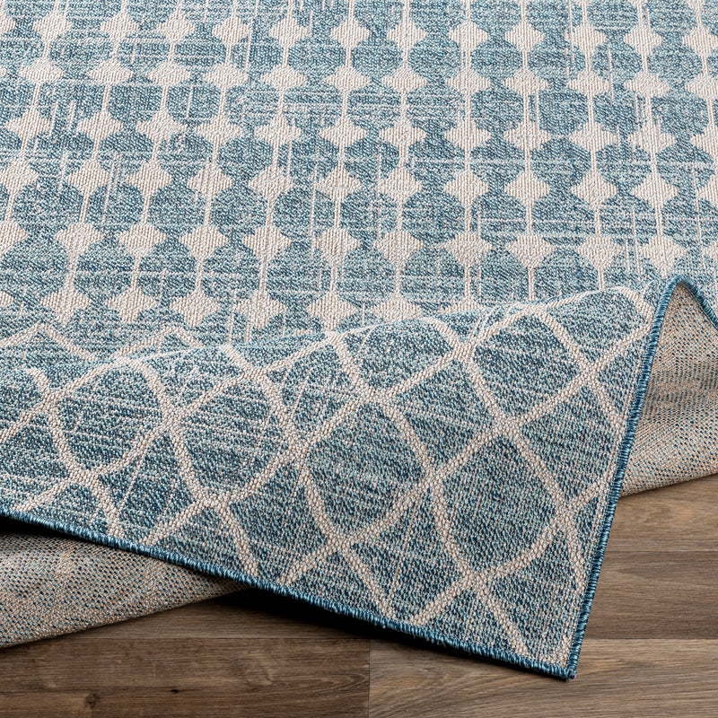 Livabliss Veranda Dia Indoor/Outdoor Rug